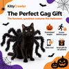 Whisker Widow™ Cat Spider Costume