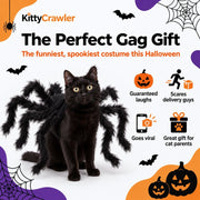 Whisker Widow cat spider costume – view 1