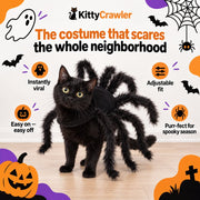 Whisker Widow cat spider costume – view 4